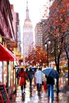 Люди под зонтами на осенней улице