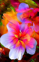 Красочные магнолии