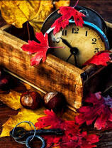 Будильник в осенних листьях