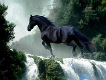 Черный конь у водопада