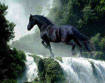 Чёрный конь на вершине водопада