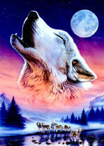 Волки в полнолуние