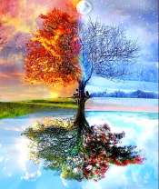 Времена года в одном дереве