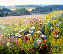 Цветущий луг и бабочки над ним