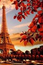 Эйфелева башня и осенняя листва