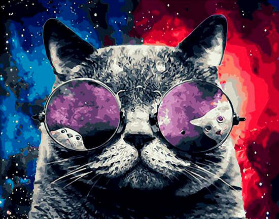 Картина по номерам 40x50 Серый кот в разноцветных очках
