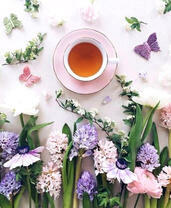 Чай, гиацинты и бабочки