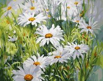 Крупные ромашки на лугу