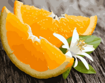 Апельсиновые дольки и цветочек