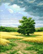 Одинокое дерево среди полей