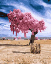 Розовое дерево в пустыне