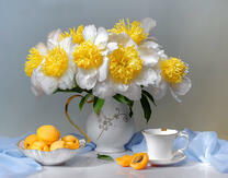 Кувшин с красивыми цветами и абрикосы