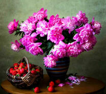 Бугенвиллея и земляника