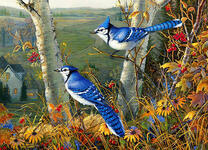 Синие птицы в осенних цветах
