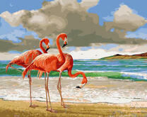 Розовые фламинго у моря