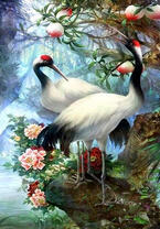 Красноголовые журавли в цветах