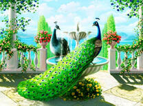 Два роскошных павлина