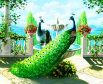 Два павлина на террасе у моря