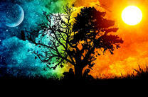 Одно дерево - день и ночь
