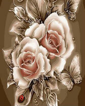 Розы и божья коровка