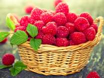 Крупная малина в корзинке