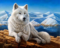 Белый волк на фоне снежных гор