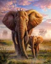 Большие африканские слоны