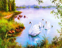 Три лебедя на большом озере