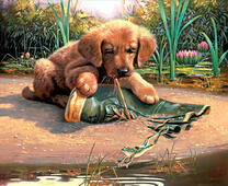 Щенок с ботинком у озера