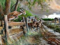 Стадо оленей у деревушки