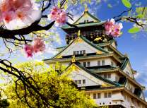 Восточный храм и цветущая сакура