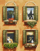 Кошки за окошками