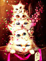 Кошка и ее котята на голове