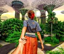 Иди за мной. Город на деревьях