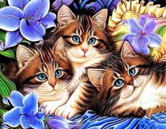 Купить котята среди голубых цветов за 890 руб. в Москве