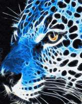 Голубый гепард