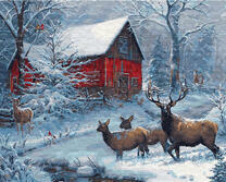 Семья оленей на водопое у фермы