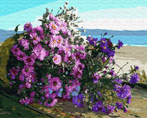 Хризантемы на фоне моря