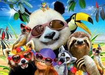 Отдых животных на пляже