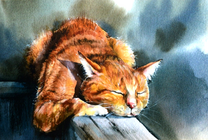 Сладко спящий рыжий кот