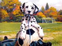 Милый далматинец футболист