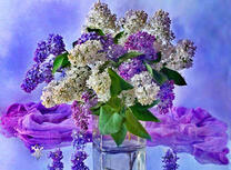 Фиолетовый шарф и букет сирени