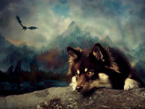 Собака отдыхает в туманных горах