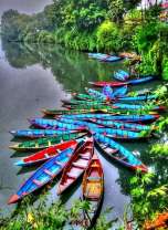 Красочные лодки на реке в джунглях