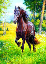 Черный конь на летней прогулке