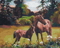 Лошадь и жеребенок пасутся на лугу