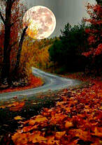 Полная луна над дорогой в осеннем лесу