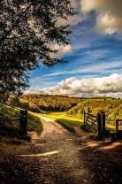 Дорога на холмах