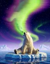 Северное сияние и медведь на льдине