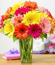 Яркий букет разноцветных гербер